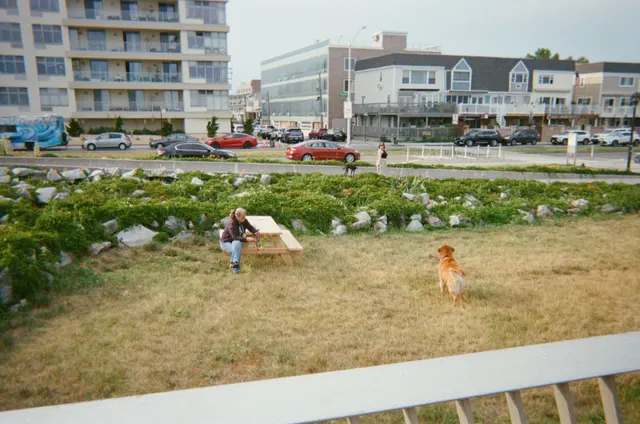 Analog photograph from FujiFilm Disposable using FujiFilm 400