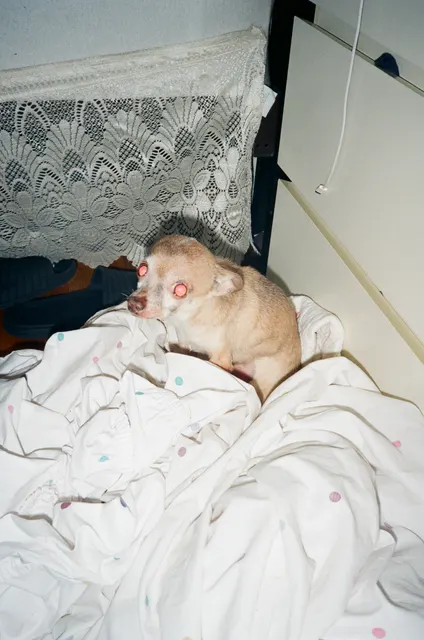 Analog photograph from Olympus AF-10 Super using FujiFilm 400