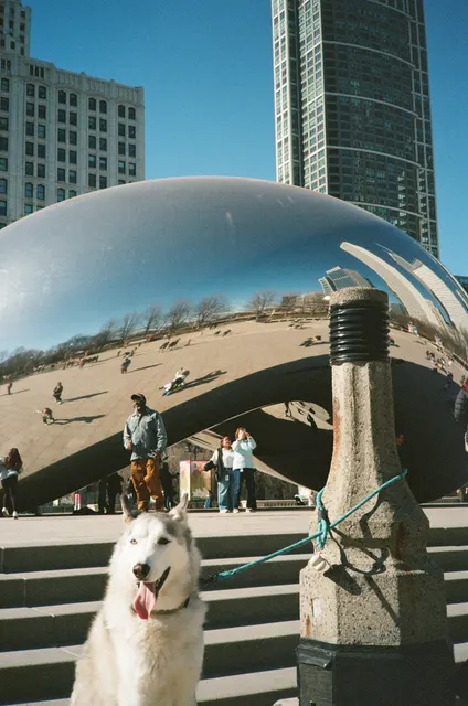 Analog photograph from Canon AF35ML using FujiFilm 400