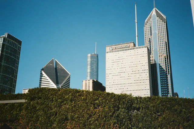 Analog photograph from Canon AF35ML using FujiFilm 400