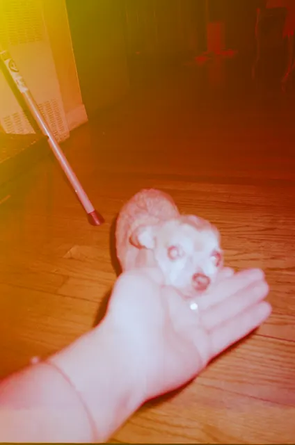 Analog photograph from Olympus Trip AF 50 using FujiFilm 400